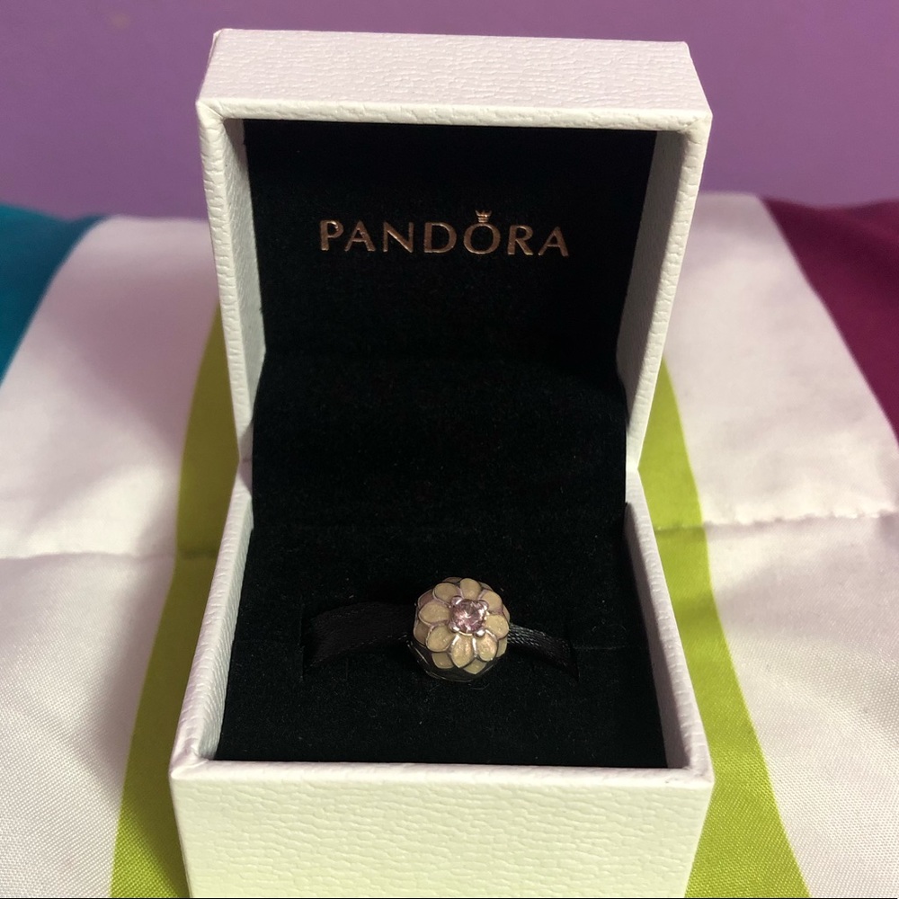 Pandora clip